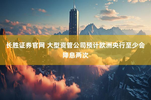 长胜证券官网 大型资管公司预计欧洲央行至少会降息两次