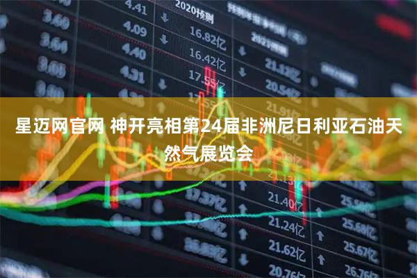 星迈网官网 神开亮相第24届非洲尼日利亚石油天然气展览会