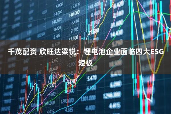 千茂配资 欣旺达梁锐：锂电池企业面临四大ESG短板