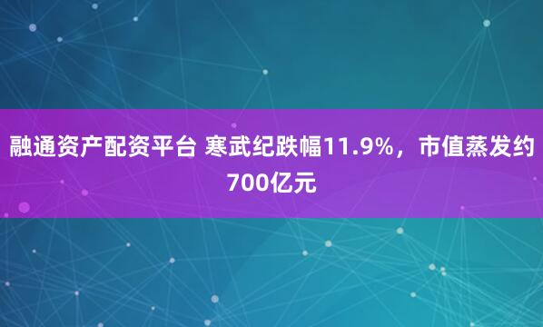 融通资产配资平台 寒武纪跌幅11.9%，市值蒸发约700亿元